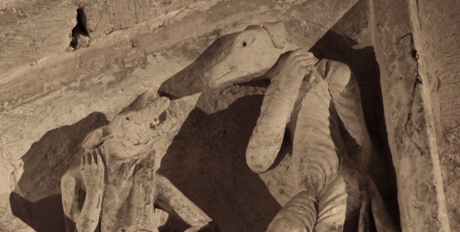 Кинокефалы итбараки