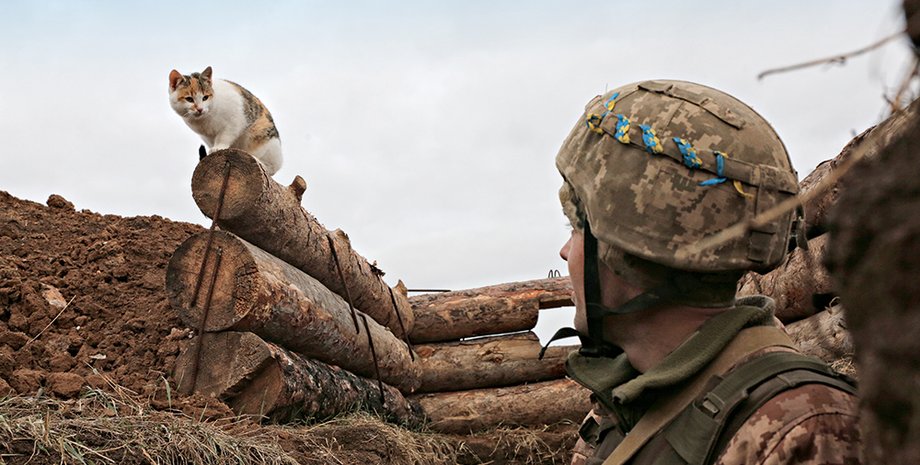 Фото: Getty Images, УНИАН