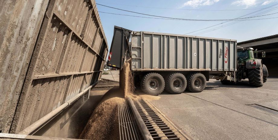 зерно експорт, експорт зерна, імпорт зерна, зерновоз, українське зерно, зерновоз