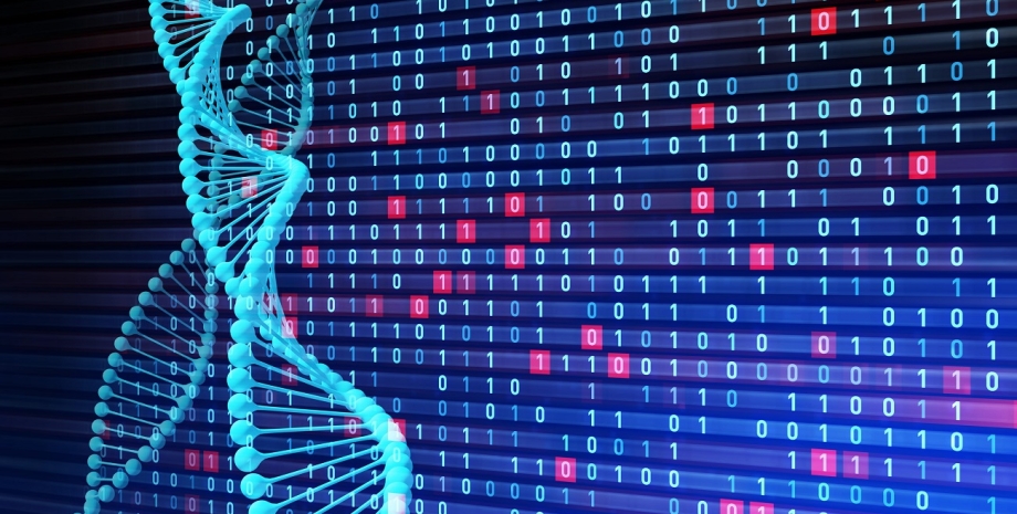 ДНК, код, кодування, файли, дані