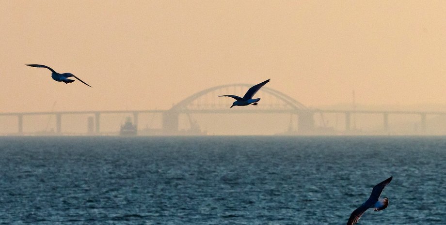 Фото: Sergei Malgavko / Contributor / Getty Images