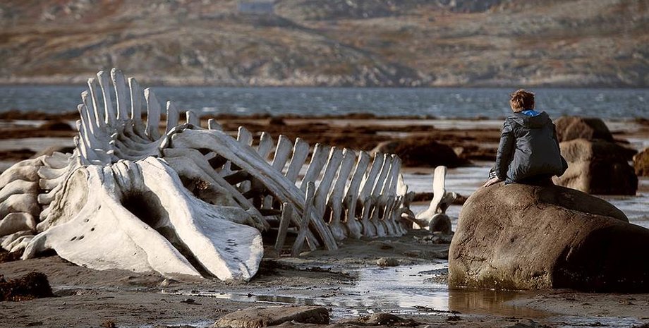 Кадр из фильма "Левиафан"