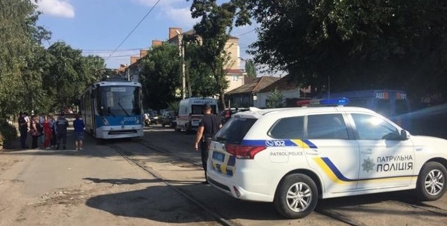 Фото: Новости-N