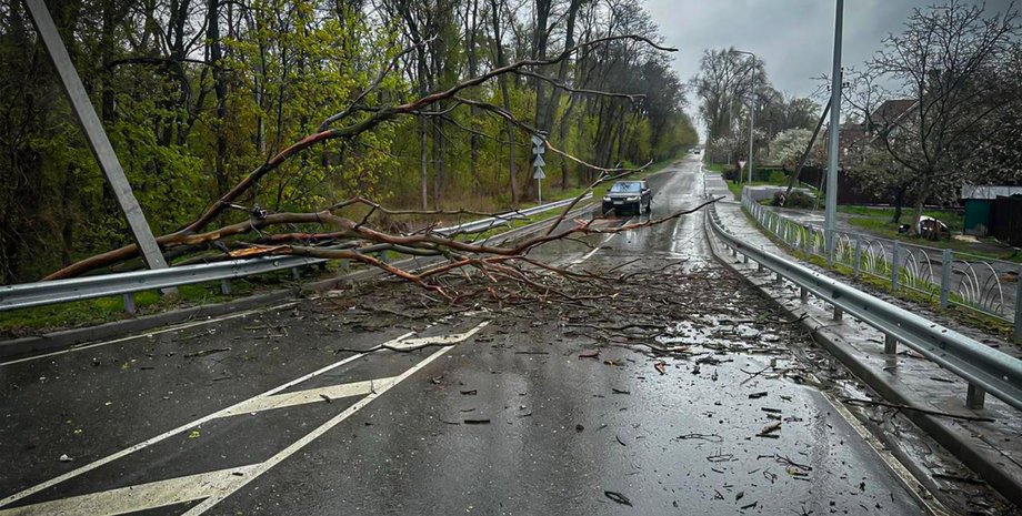 Последствия непогоды в Украине: 2 погибших, 2 ранены, 1121 населенный пункт без света (фото, видео)