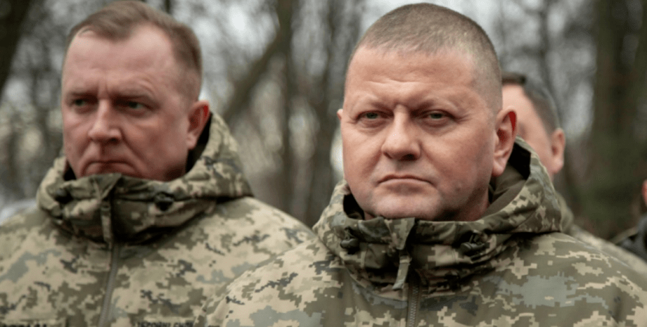 валерий залужный, сергей шаптала, война в украине, два года войны в украине