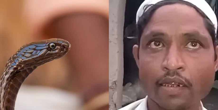 Житель Індії звернувся в поліцію, стверджуючи, що його дружина перетворюється на кобру і нападає на нього уві сні