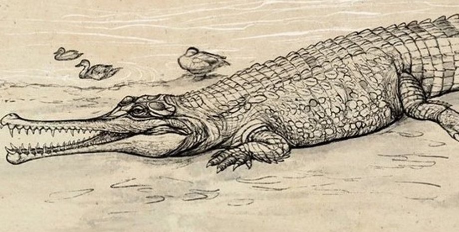 Древний крокодил