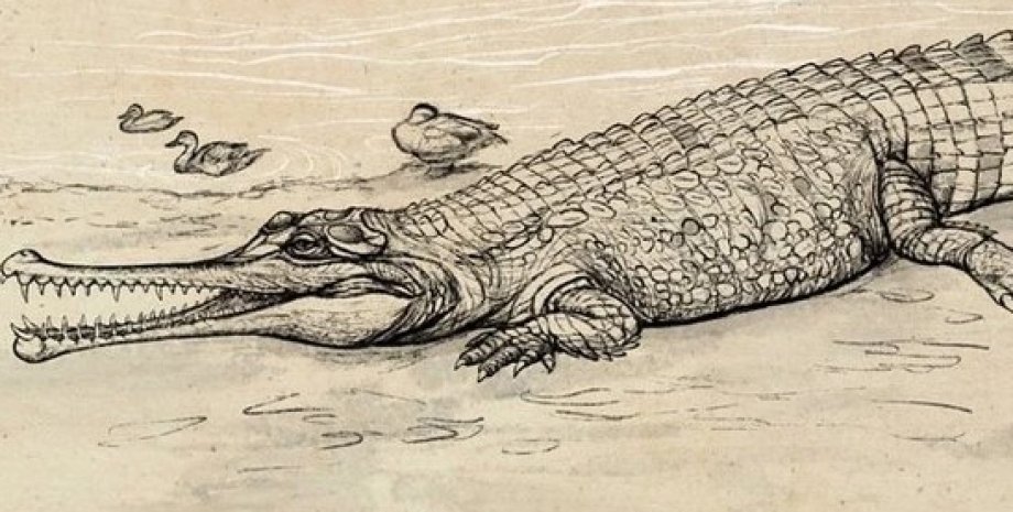 Древний крокодил