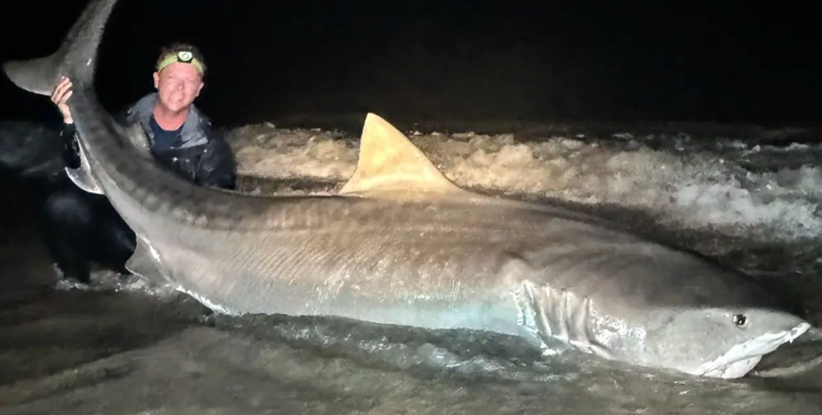 Оуэн Приор из Флориды, США, тигровая акула, улов, добыча, рекорд, курьезы, рыбак, рыбалка, фото