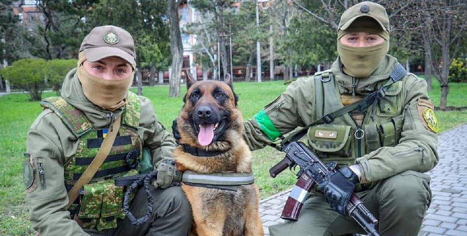 Овчарка, Нацгвардия