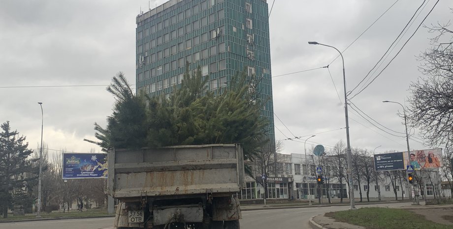 Фото: Думская