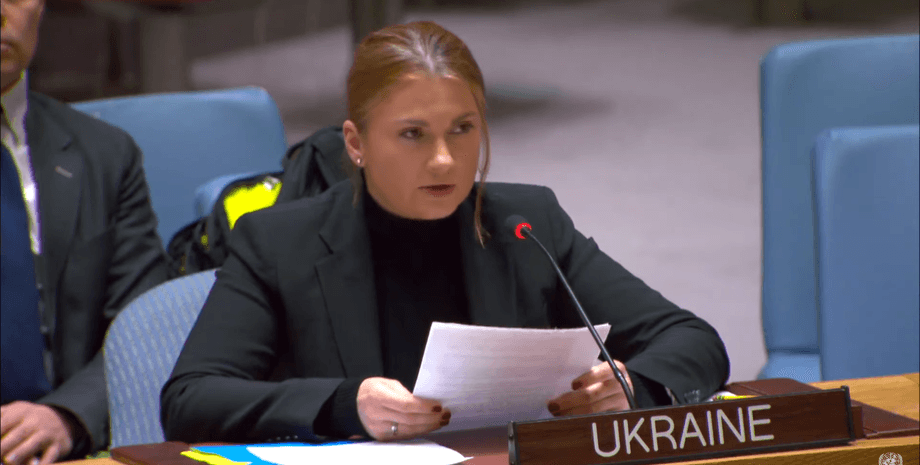 Христина Гайовишин, ООН, катастрофа Іл-76 під Бєлгородом, війна в Україні, фото