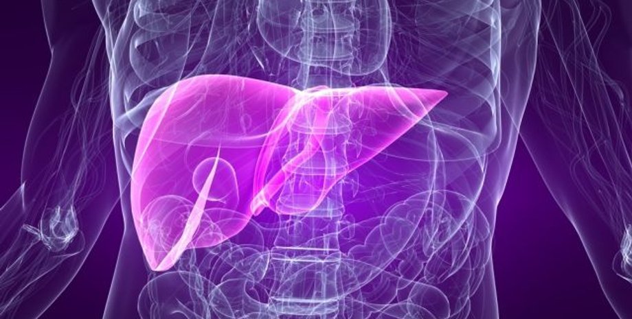 Фото: АиФ-Украина