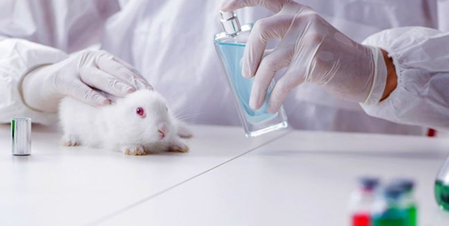 Фото: europarl.europa.eu