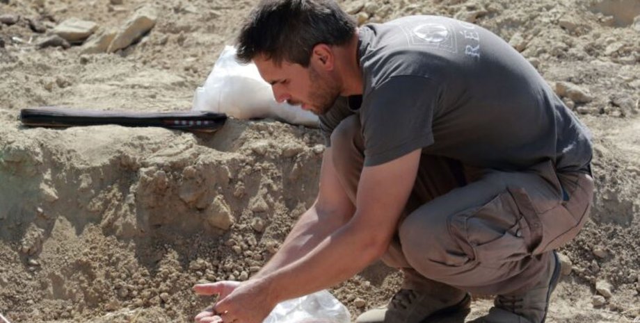 артефакти Аварська шабля – археологи знайшли артефакт в Угорщині – фото0