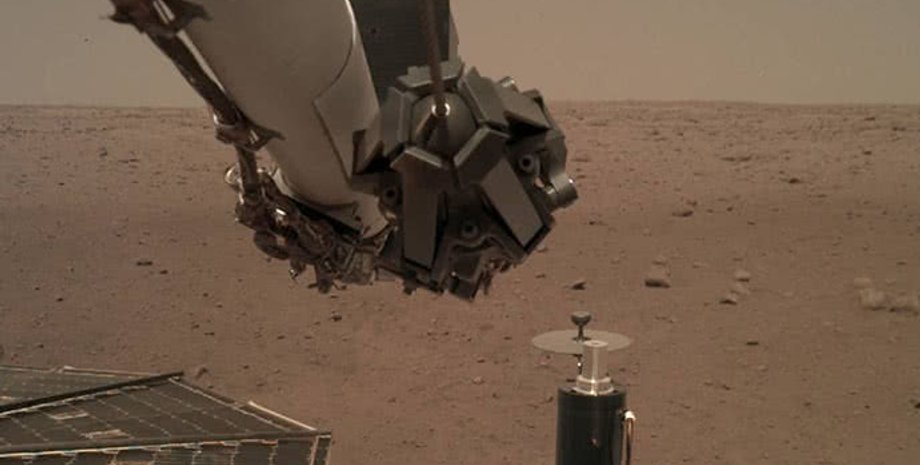 Фото: Скриншот