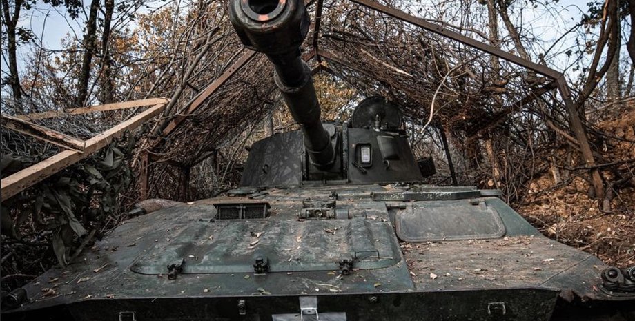 всу сау гвоздика