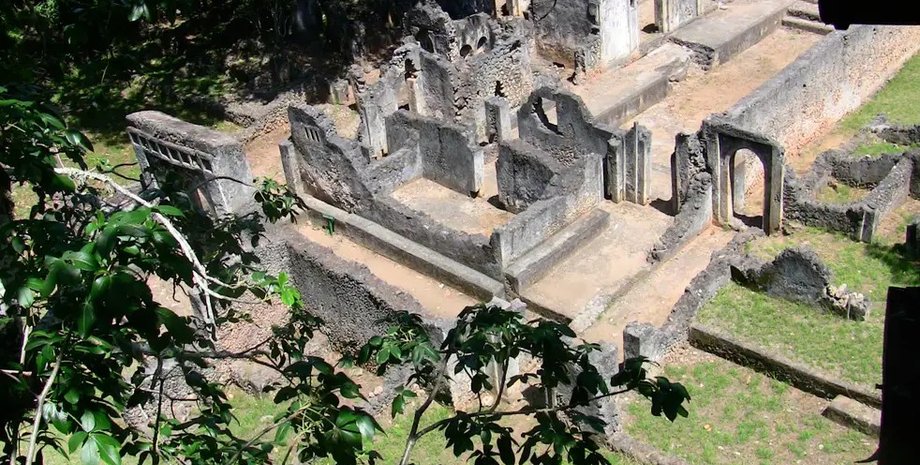 суахили, антропология, ДНК, исследование, африканские женщины, африка, наука, история