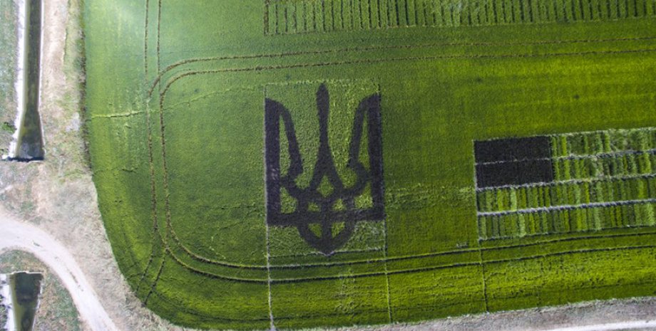 Херсонский тризуб / Фото: khoda.gov.ua