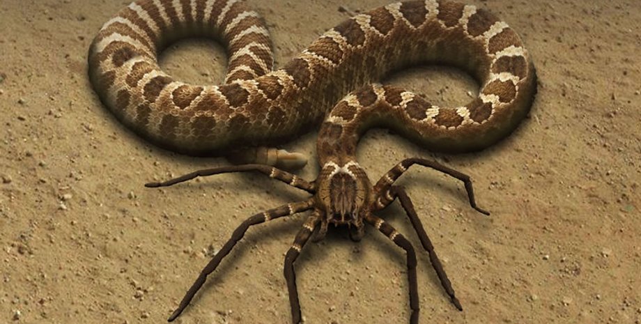 Иллюстрация: funnyjunk.com