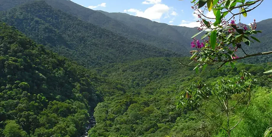 рисунки, археологи, археология, исследования, парк, Бразилия, Рио-де-Женейро, Рио, открытие, пещера, история, искусство