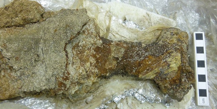 меч, грязь, ржавчина, фото