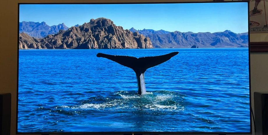 Телевізор TCL C6K