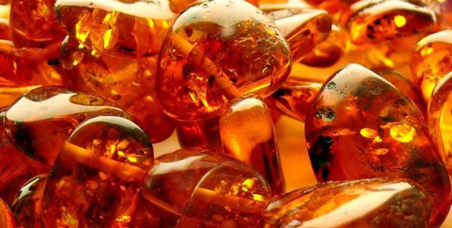 Фото: inshaua.com