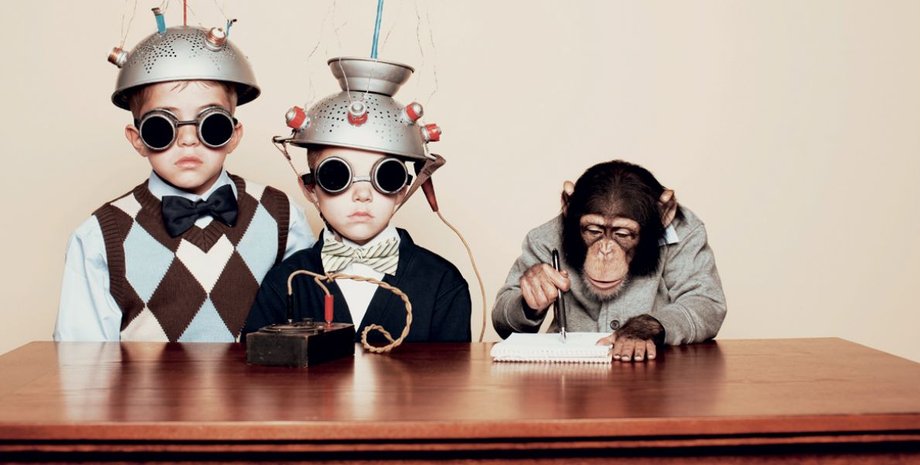 Фото: открытые источник