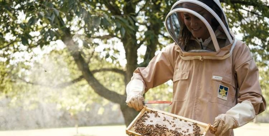 Кейт Міддлтон, принцеса уельська, бджільництво у королівській родині, міжнародний день бджіл 2023, вулики