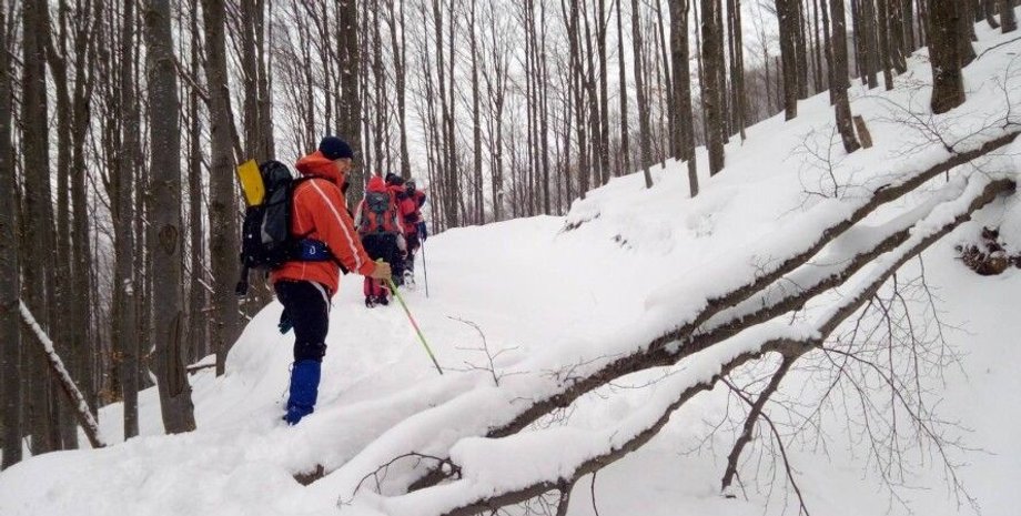 карпаты, горы, поиски, гсчс, турист