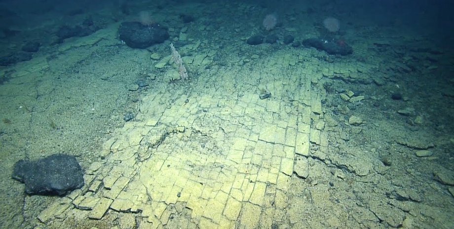 жовта цегла, дно Тихого океану, вода, фото