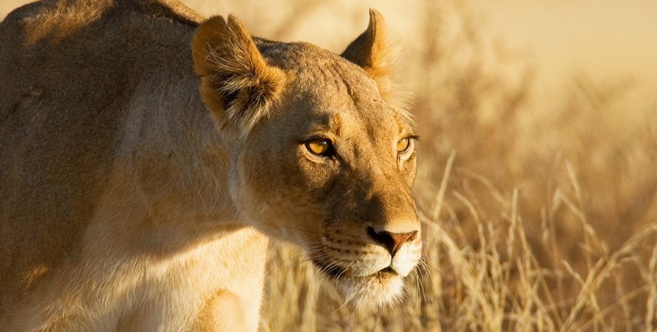 Фото: Разумный замысел