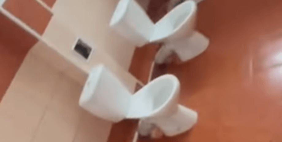 Васильків, ліцей, камера, туалет, жарт