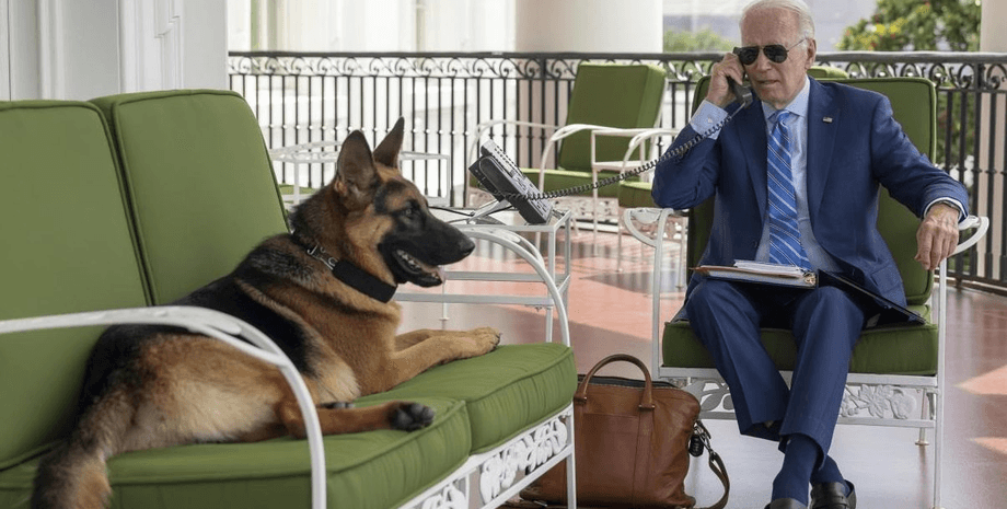 Командор, овчарка, собака Джо Байдена, президент США, Секретная служба, телохранитель президента, собаки президента, Белый дом, врачи, укус