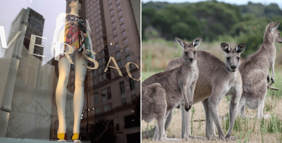 Коллаж: R News