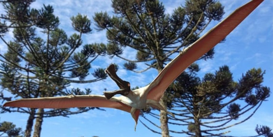 Иллюстрация: Travis R Tischler