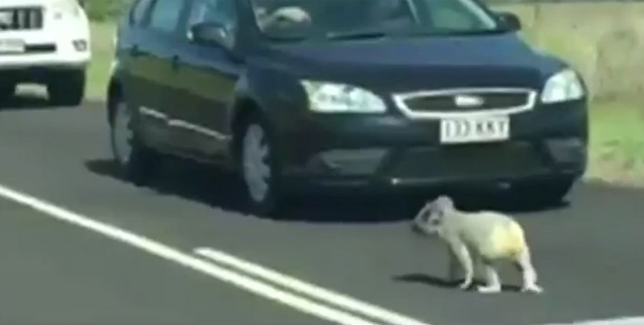 Скриншот видео