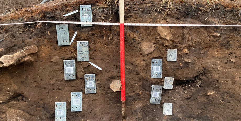 история, археолог, археология, открытие, раскопки, неолит, памятник, фермеры, поселение, курс, ученые, находка, ландшафт, влияние человека, Британия