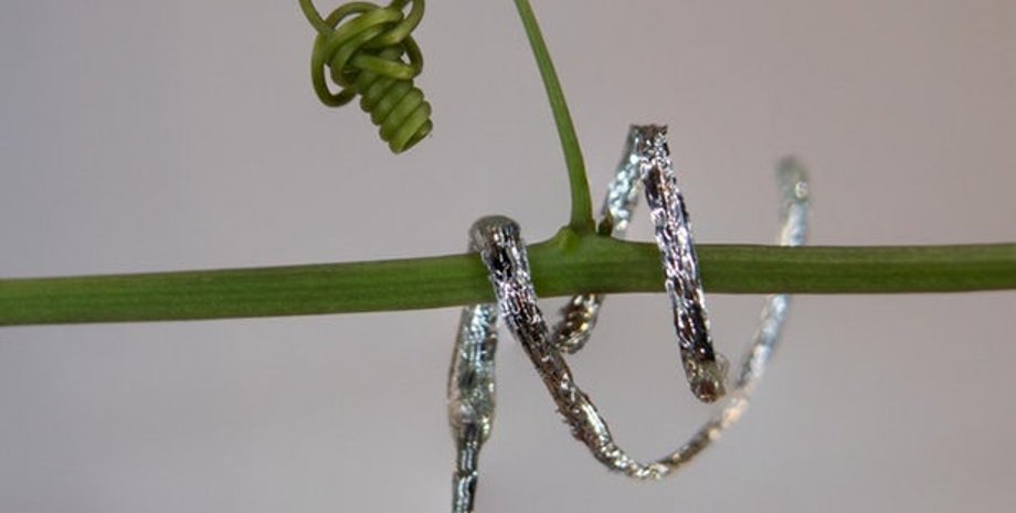 IIT-Istituto Italiano di Tecnologia