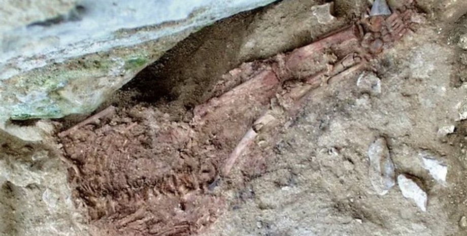 дитина лапедо