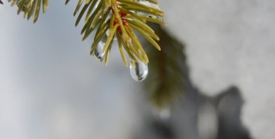 погода, потепление, синоптики, Укргидрометцентр, Наталья Диденко, январь