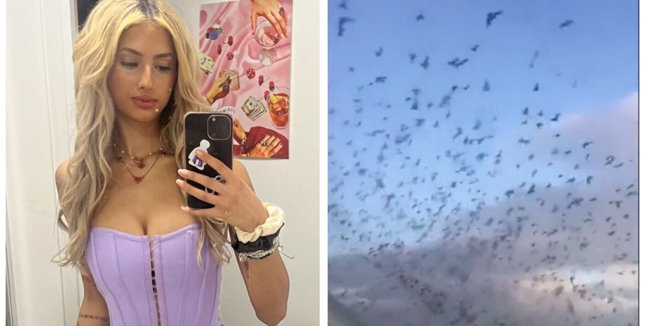 Пташиний апокаліпсис: блогерка показала, як зграя пернатих "атакувала" її будинок