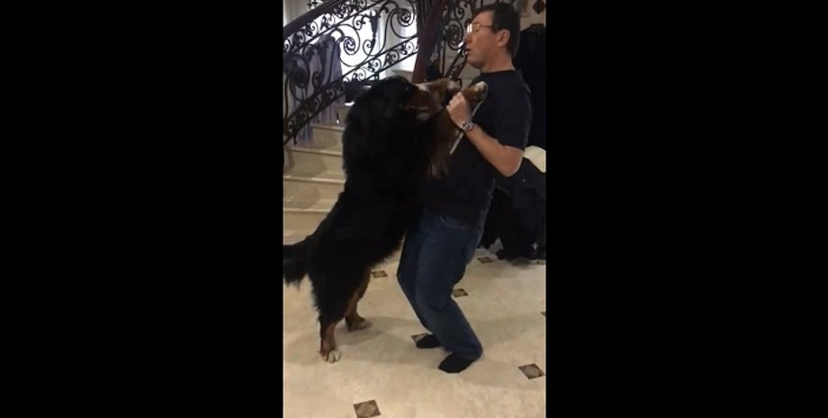 Скриншот видео