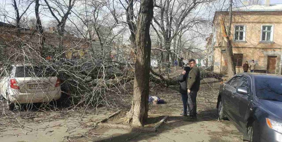 Фото: Думская