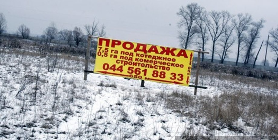 Дмитрий Стойков, Фокус