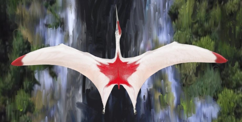 Cryodrakon boreas в представлении художника Дэвида Мааса. Настоящая расцветка птерозавра, найденного в Канаде, неизвестна.
