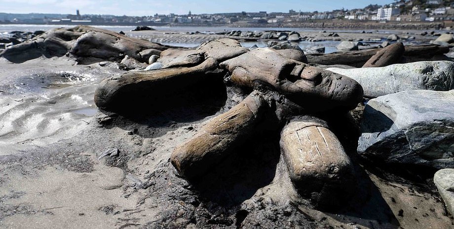 окаменевший лес, бухта, корнуолл