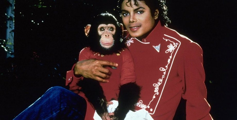 Мавпа бабблз, Мавпа, Мавпа, Мавпа майкла джексона, бабблз