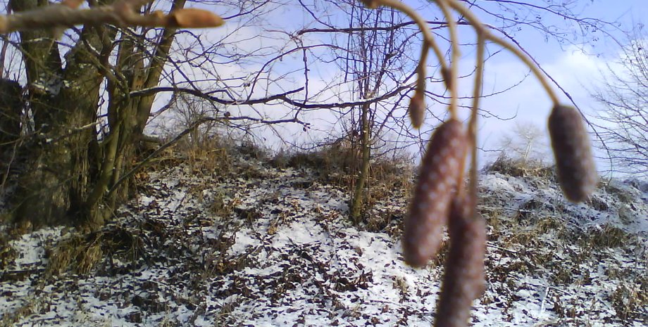 Фото: Фокус.ua